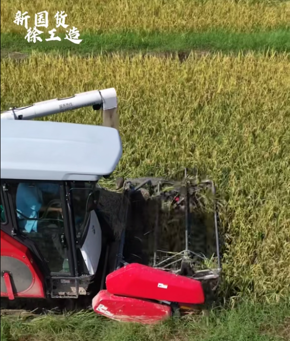 【稻花香里说丰年，听取蛙声一片】